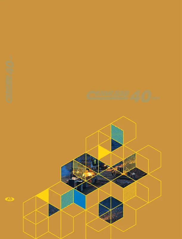 Обложка артбука «Селигдар. 40 лет», 2015